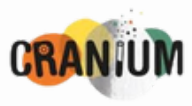 Cranium